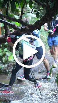 BIB:  <button type="button" onclick="openModal(27824765)" class="btn btn-primary btn-sm float-right" data-toggle="modal" data-target=".modal-high-quality">
                <i class="fa fa-download"></i> Download
                </button>